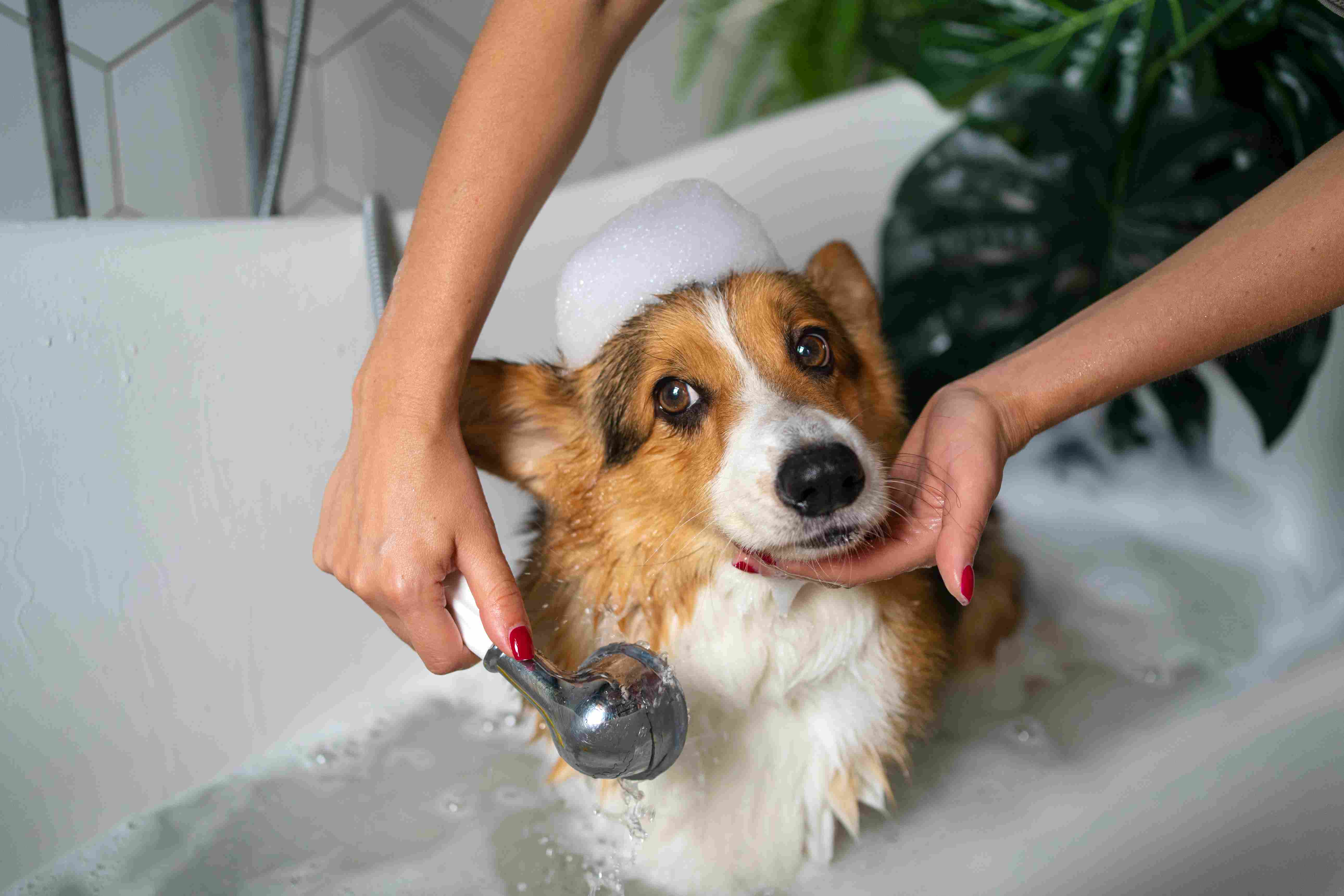 Spa care service